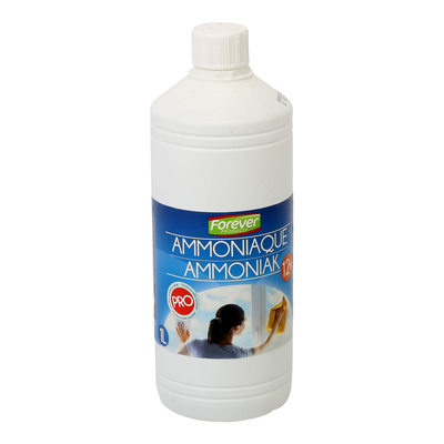 210022: Ammoniak - 1 l