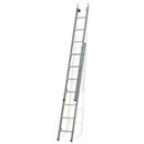 Ruitenwasladders Met Rechte Bomen